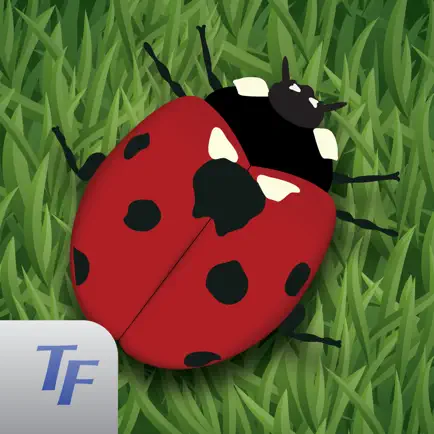 Fun Bugs Читы