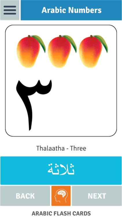 Arabic Flash Cards For Toddlers screenshot-4