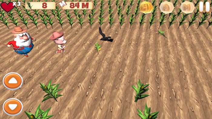 Super HAM Run 3D