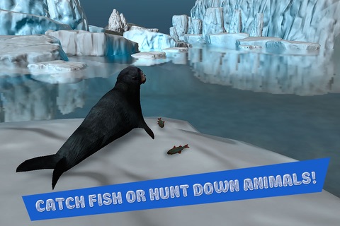 Seal Survival Simulator 3D screenshot 2