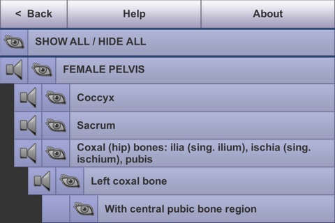 Understanding Female Pelvic Anatomy in 3D screenshot 3