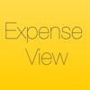 Expense View