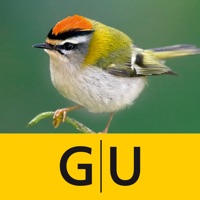 Vögel bestimmen – erkennen Sie heimische Vogelarten in der Natur und im Garten an Stimme, Gefieder und Lebensraum apk