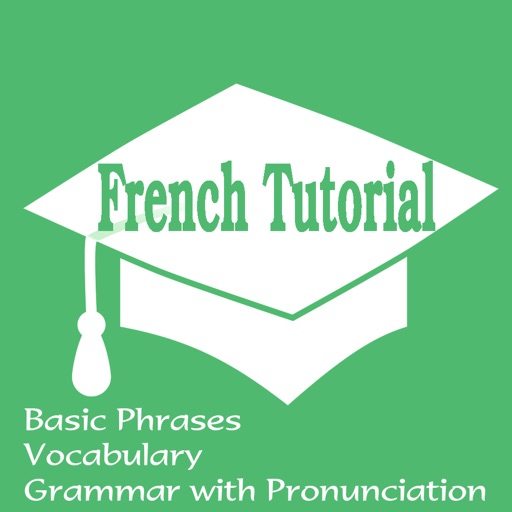 French Tutorial: Basic Phrases, Vocabulary and Grammar with Pronunciation