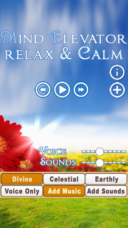 Meditation For Relaxation & Calm