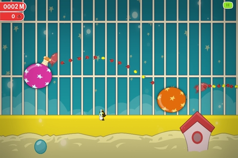 Hamster Jump Hero - Crazy Ball Bounce Wheel screenshot 2