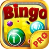 Daubs Arena PRO - Play Online Bingo and Number Card Game for FREE !