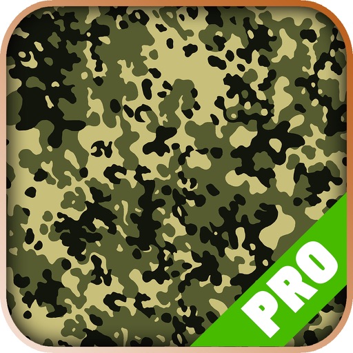 Game Pro - ARMA 3 Version