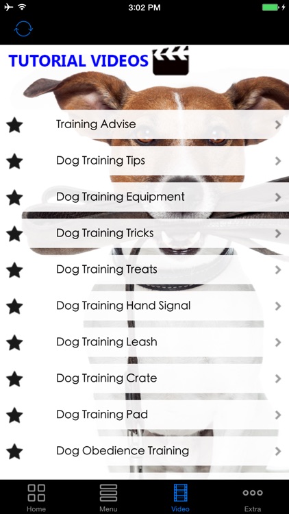 A+ How To Train Dogs - Teach Your Dog How To Potty, Crate, Tricks, Tips & More. screenshot-4