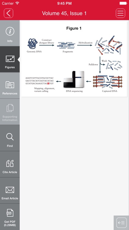 Ultrasound in Obstetrics and Gynecology App screenshot-3