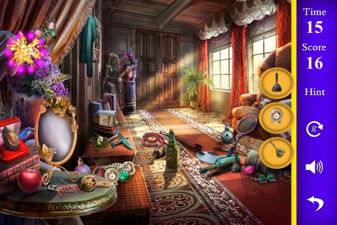 Mistry House Hidden Objects screenshot 3