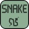 Snake Retro - Classic snake, retro phone game, old school