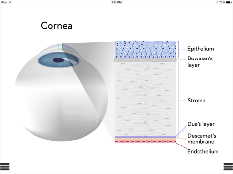 Ophthalmic Media Library screenshot 4