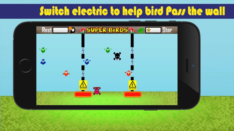 Super Birds Adventures - Birdy Crossing Block screenshot-3