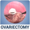 Ovariectomy in Dogs (Free Version)