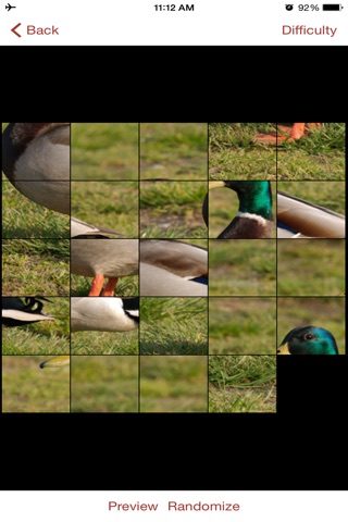 Duck Puzzles Extreme! screenshot 4