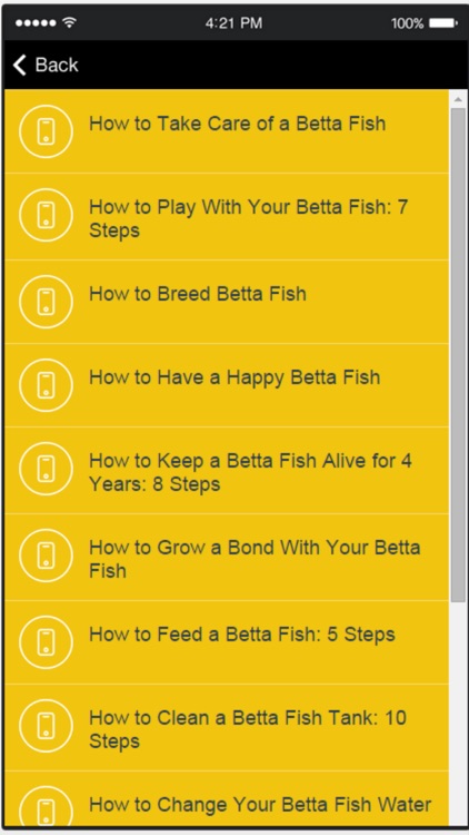 Betta Fish - Everything You Want to Know About Betta Fish