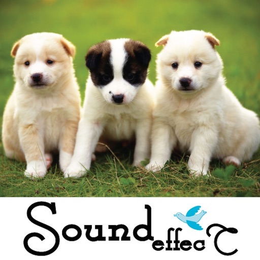 Animal Sound Effect Epic icon