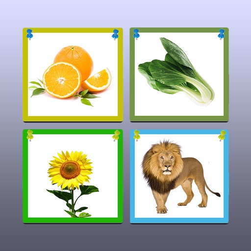 水果.蔬菜.动物.植物－儿歌识物基础篇 icon