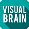 Visual Brain