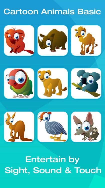 Safari and Jungle Animal Picture Flashcards for Babies, Toddlers or Preschool