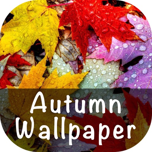 Autumn Wallpaper icon