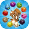 Icon Squirrel Pop Bubble Shooter Fruit Saga : Match 3 Hd Free Game
