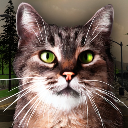 Street Cat Survival Simulator 3D Icon