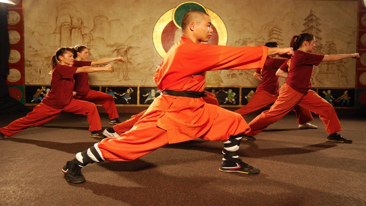 Shaolin Kung Fu Expert screenshot-4