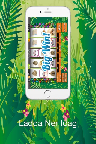 Safari Slots - Spin, Play, And Win To Rescue The Jungle Animals. screenshot 4