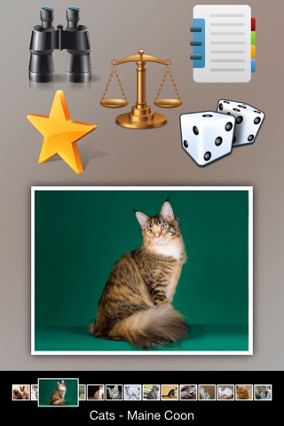 Cat Breeds Guide screenshot 3