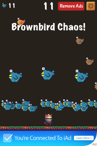 King Top Bird screenshot 2