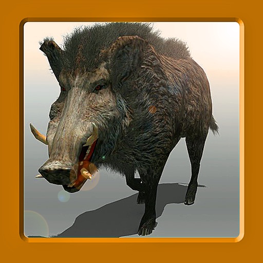 Boar Hunter Reloaded iOS App
