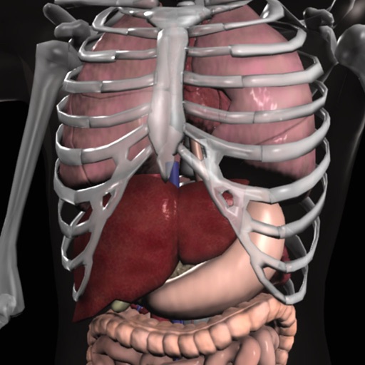 Anatomy 3D - Organs iOS App