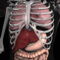 App Icon for Anatomy 3D - Organs App in Pakistan IOS App Store