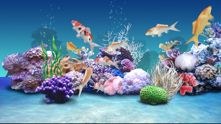 Koi Aqua HD - Real Sim Coral Reef Plants and Live Freshwater Fish Tank Pond & Virtual Tropical Fishes Tour