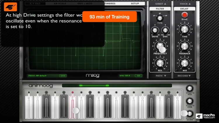 Course For Animoog