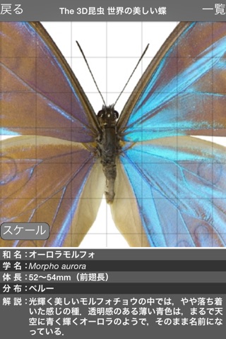 The 3D Insects II screenshot 4