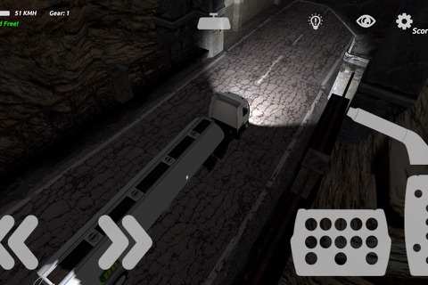TIR Simulation & Race II 3D : Long way screenshot 2