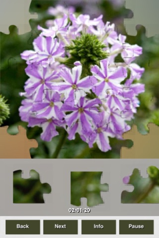 Plants Puzzles screenshot 2