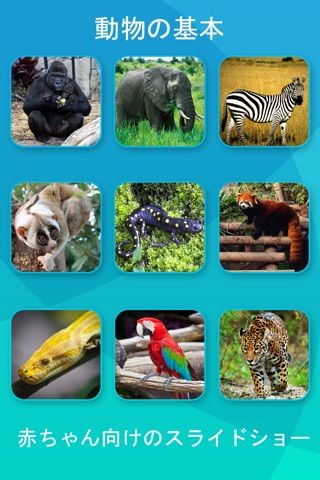 Safari and Jungle Animal Picture Flashcards for Babies, Toddlers or Preschool screenshot 2