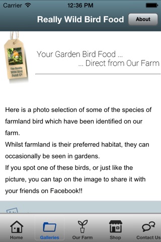 Really Wild Bird Food screenshot 4