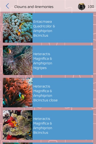 Marine Life Jigsaw screenshot 2