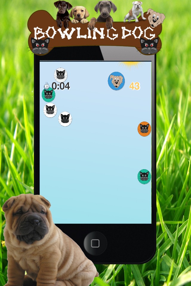 Dog Series: Bowling Dog screenshot 4