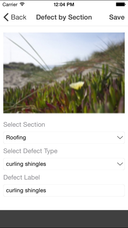 ViewSpection Inspector