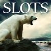 Polo North Animals Slots - FREE Las Vegas Game Premium Edition