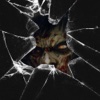 Halloween Corpse Booth - Edit Ugly & Horrific Zombie Selfie FX Photos