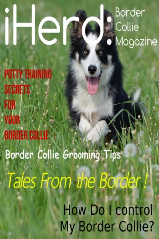 iHerd: Border Collie Lovers Magazine screenshot 4