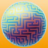 Animal Maze & Footprint: Choose the best way