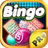 Bingo Lady Rush PRO - Play the most Famous Card Game in the Casino for FREE !